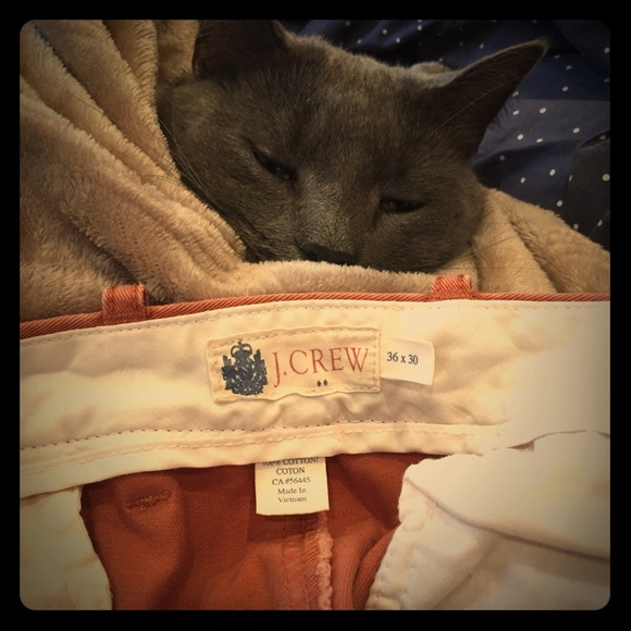 J. Crew Rust-Colored Chinos, size 36x30 - Picture 1 of 6